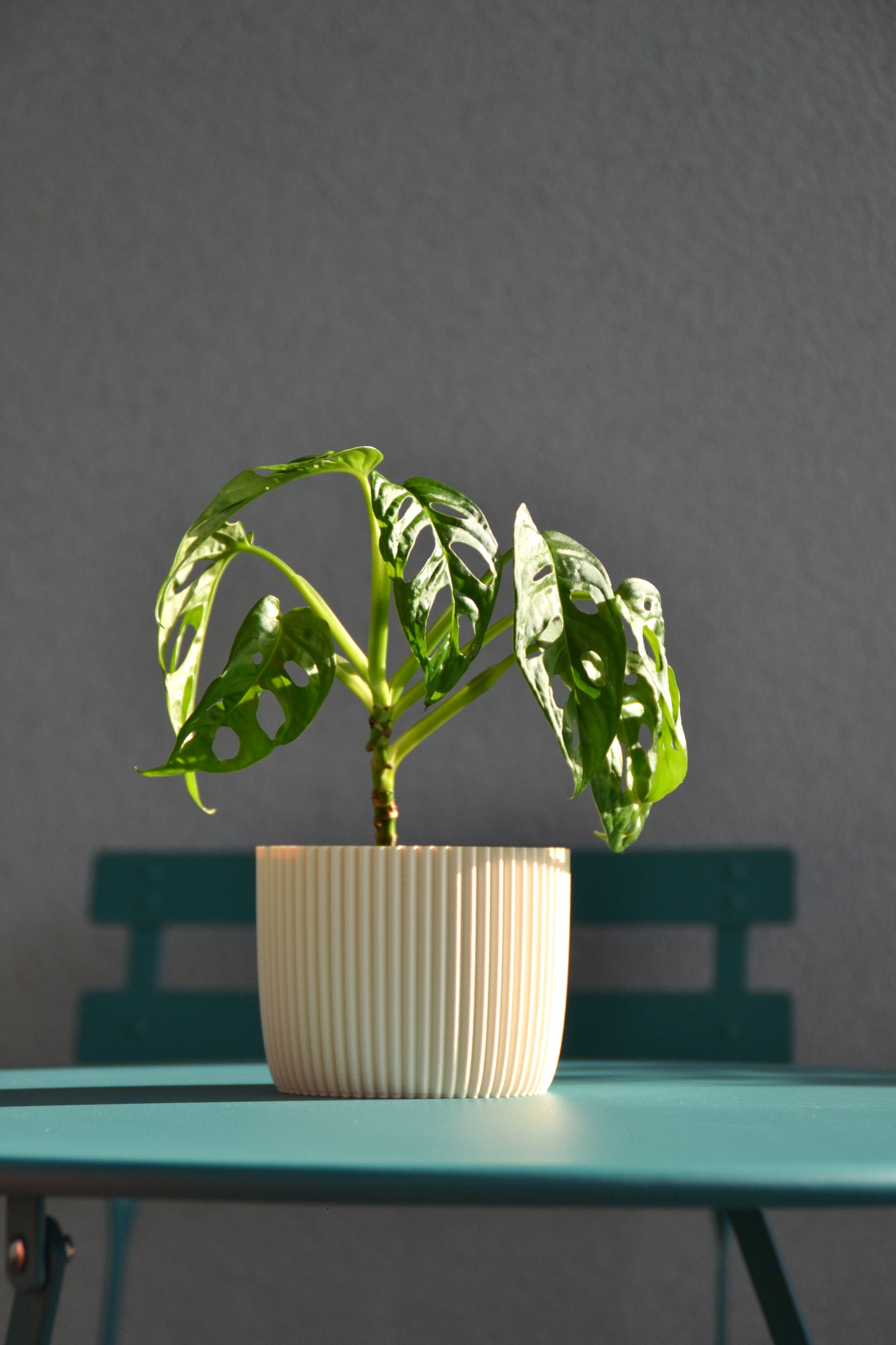 Plant Pot PUNTO, Ø 10 cm