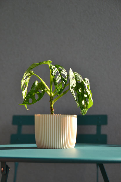 Plant Pot PUNTO, Ø 10 cm