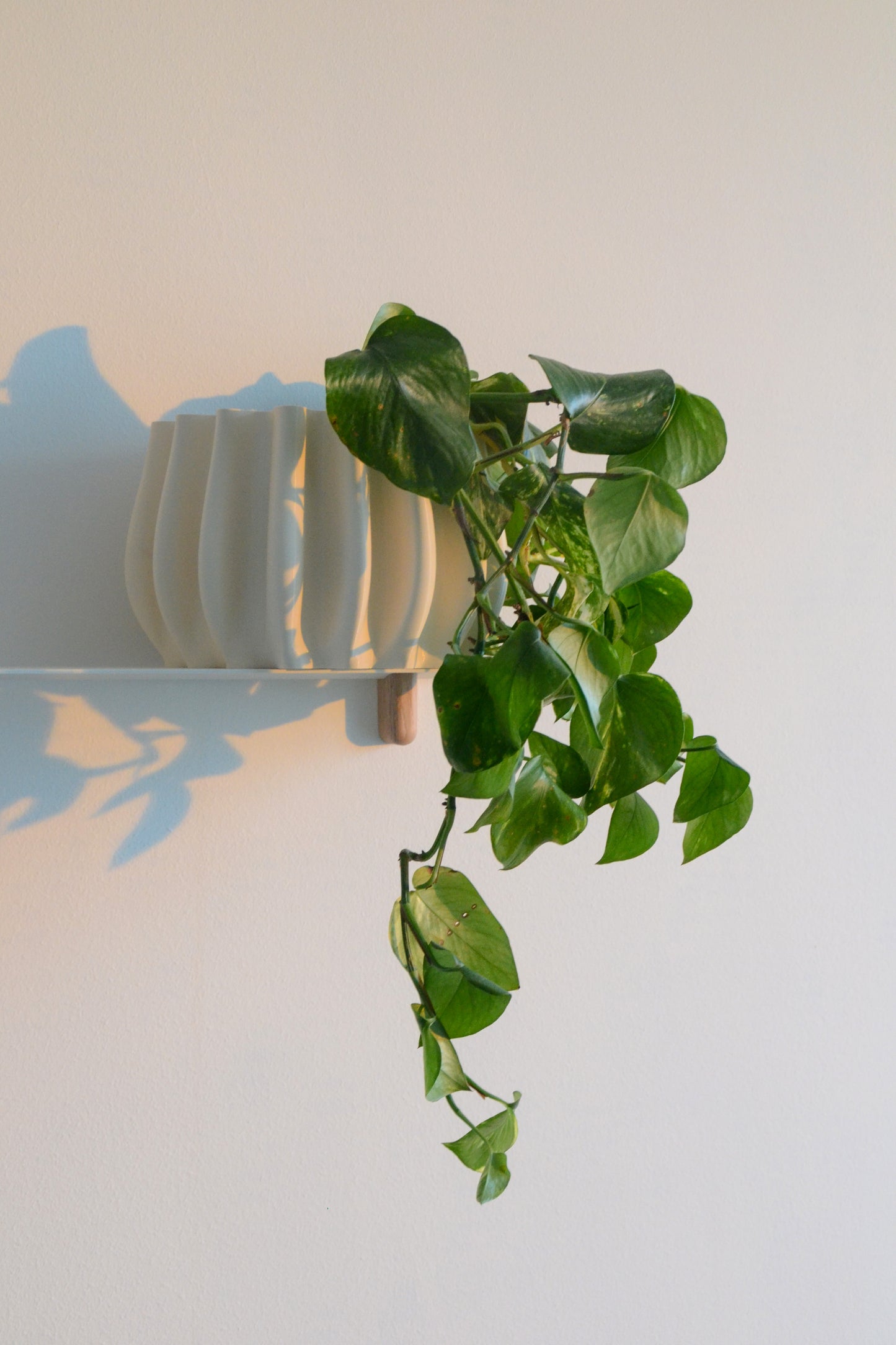 Plant Pot, Ø 14 cm